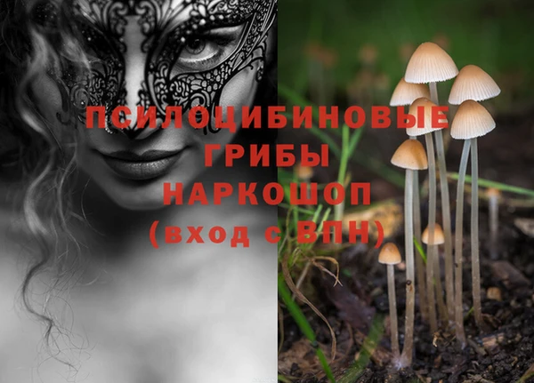 PSILOCYBIN Армянск